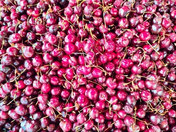     Вкус может зависеть не только от качества, но и от сорта. Фото: архив МК в Питере