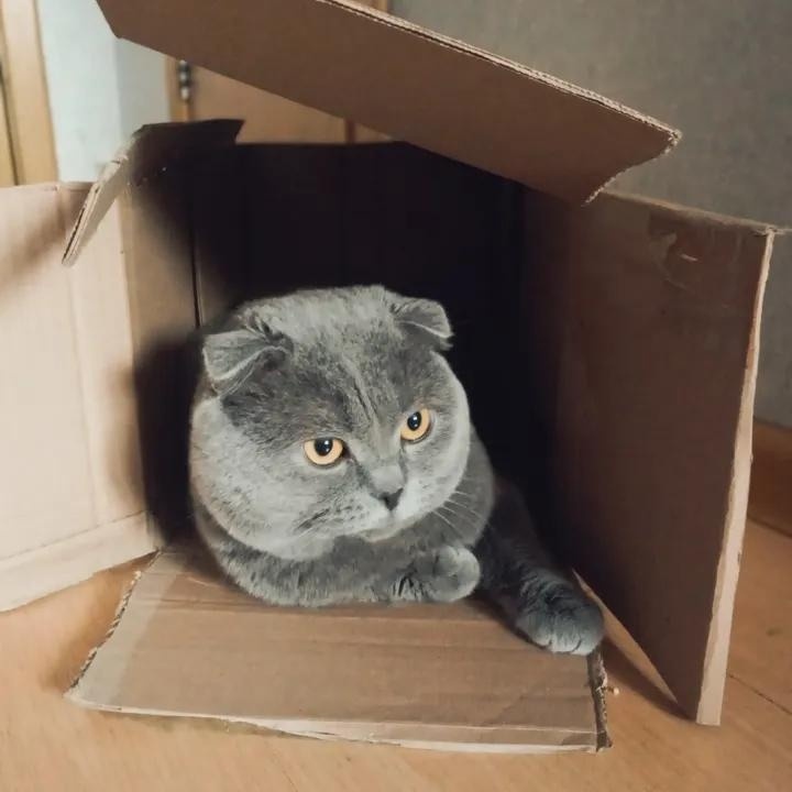 иллюстрация из яндекс картинки.