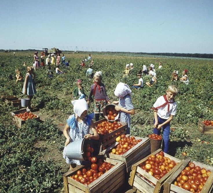 Очень красиво. Но разово. Советское фото