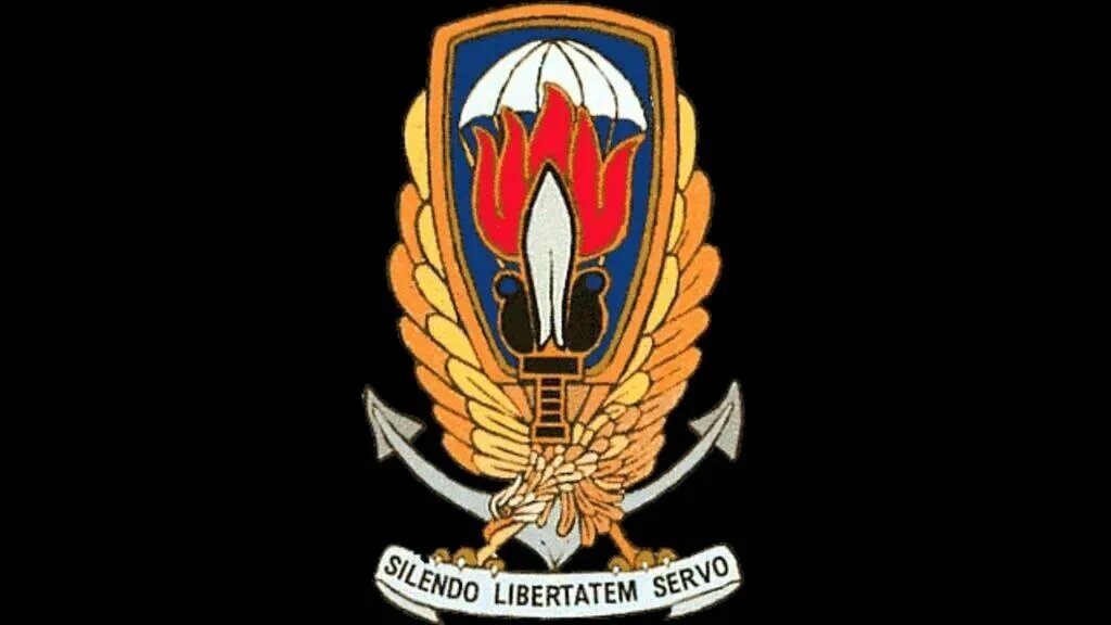 «Гладио» (от итал. Operazione Gladio, Операция «Меч») — наименование тайной операции НАТО после Второй мировой войны по созданию в европейских странах сети военизированных организаций, предназначенных осуществлять сопротивление в случае вторжения стран Варшавского договора в Италию и другие западноевропейские страны, и вести диверсионно-партизанскую войну. ru.wikipedia.org*