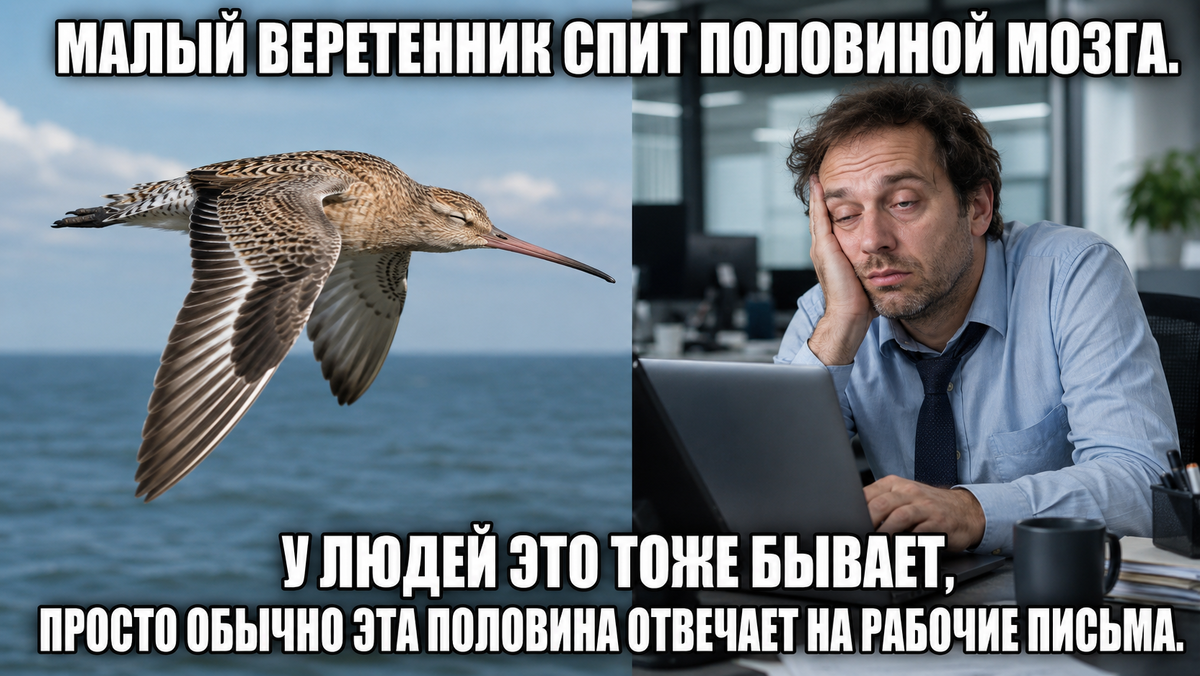 -8