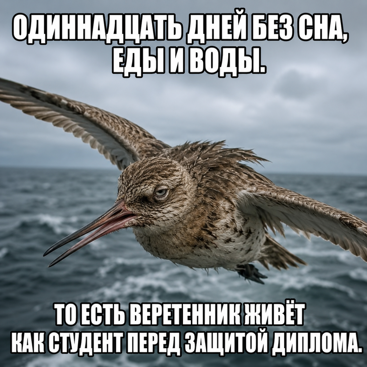 -4