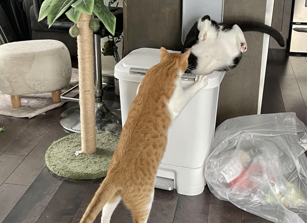 -2