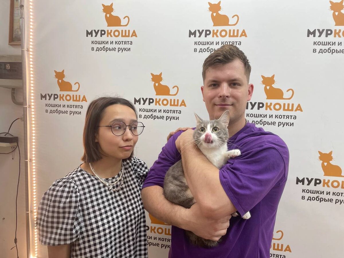 Лапочка Бамсик снова стал домашним. 