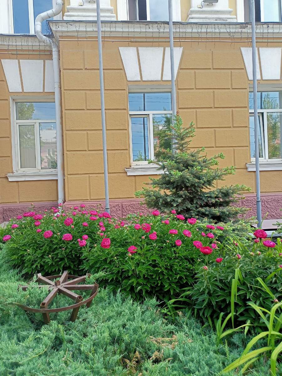 На улице Барнаула