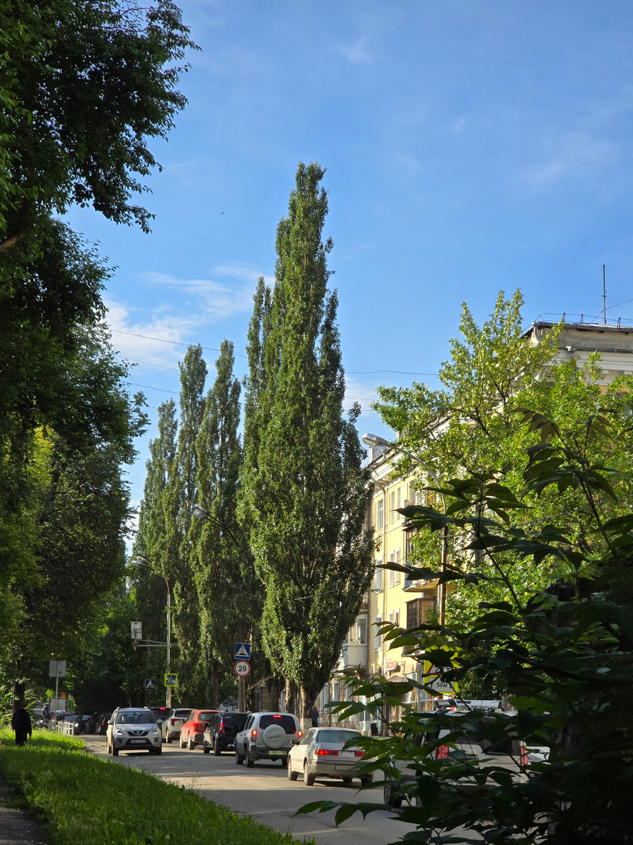Летнее утро на районе