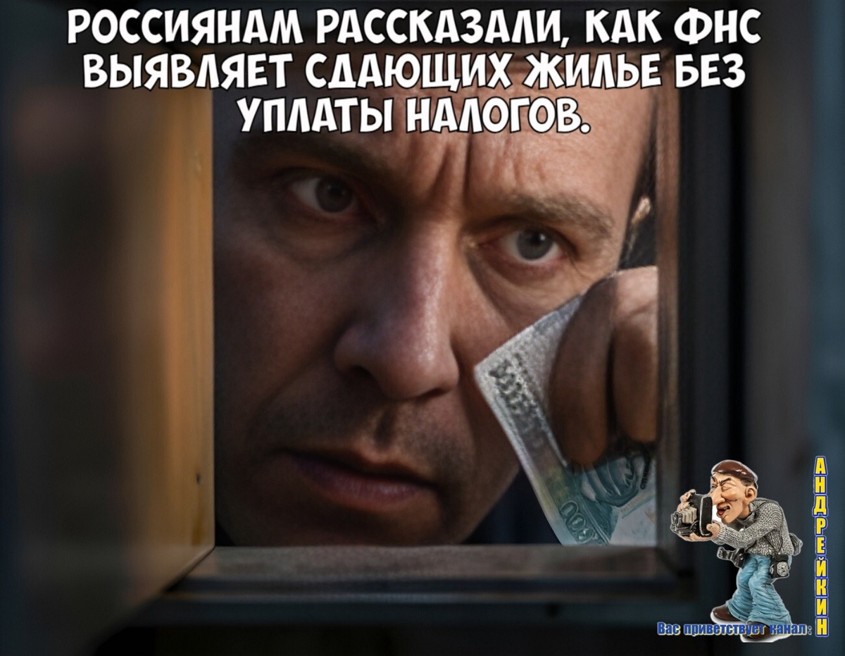 Как ФНС выявляет сдающих жилье без уплаты налогов