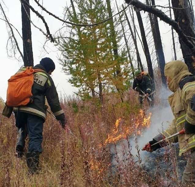    Фото с сайта МЧС Илья Федоров