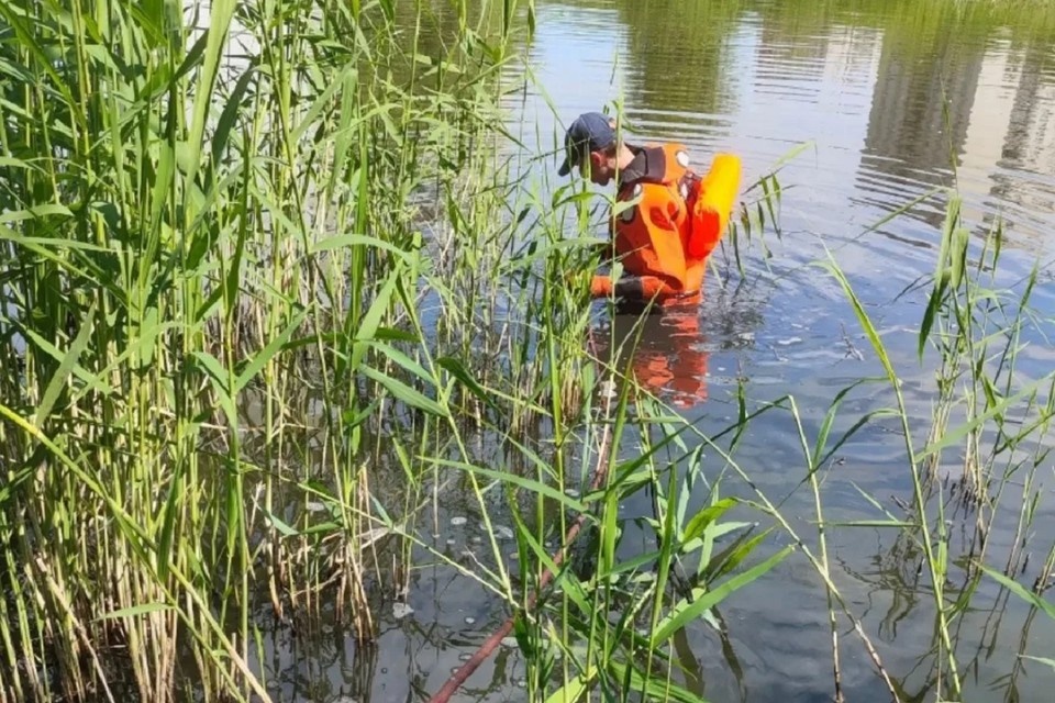    Водоем находится на улице Петухова, 12/3. Фото: спасатели МАСС