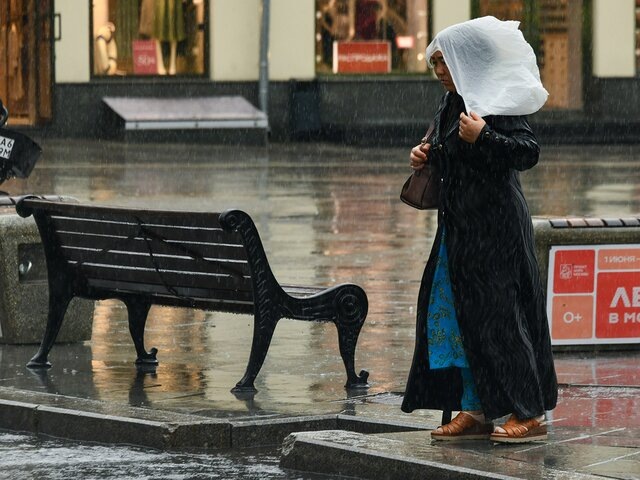    Фото: Москва 24/Антон Великжанин