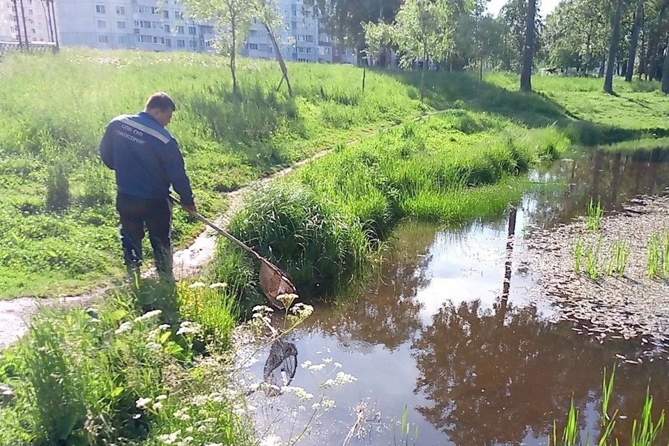    Экологические службы продолжают мониторить ситуацию в Петербурге. Фото: gov.spb.ru