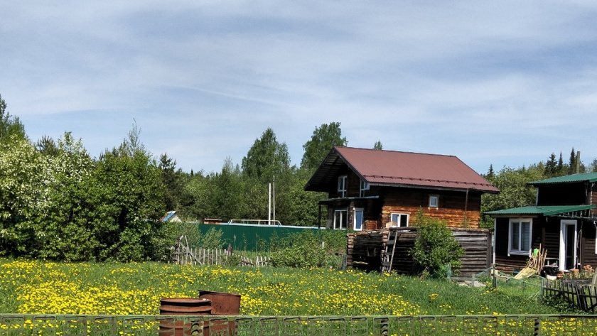    личное фото автора
