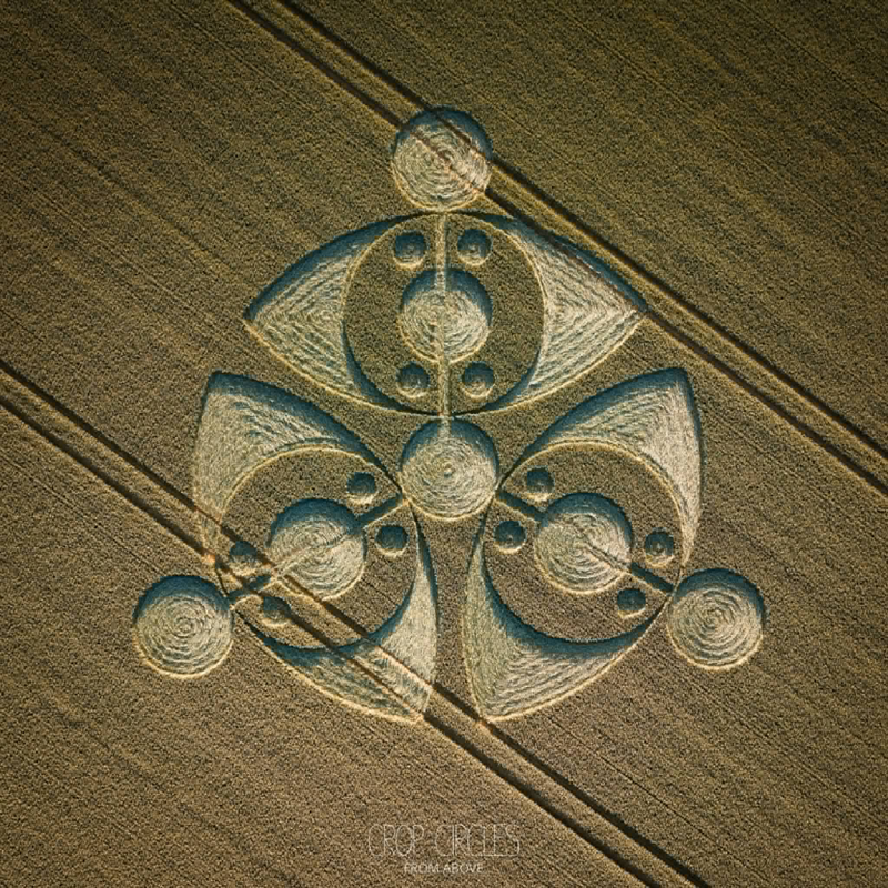 15.06.2026 г. Круги на полях Англии, графство Уилтшир. https://www.cropcircleconnector.com/2026/first/first2026a.html