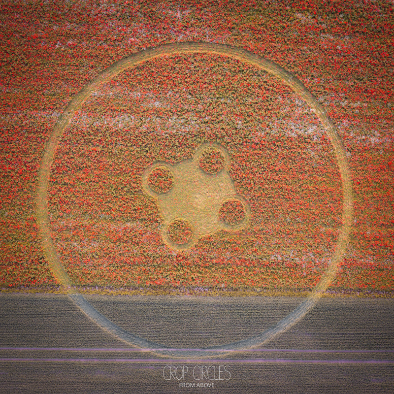 24.06.2026 г. Круги на полях Англии. https://www.cropcircleconnector.com/2026/Etchilhampton/Etchilhampton2026a.html