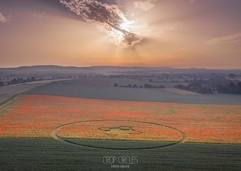 24.06.2026 г. Круги на полях Англии. https://www.cropcircleconnector.com/2026/Etchilhampton/Etchilhampton2026a.html