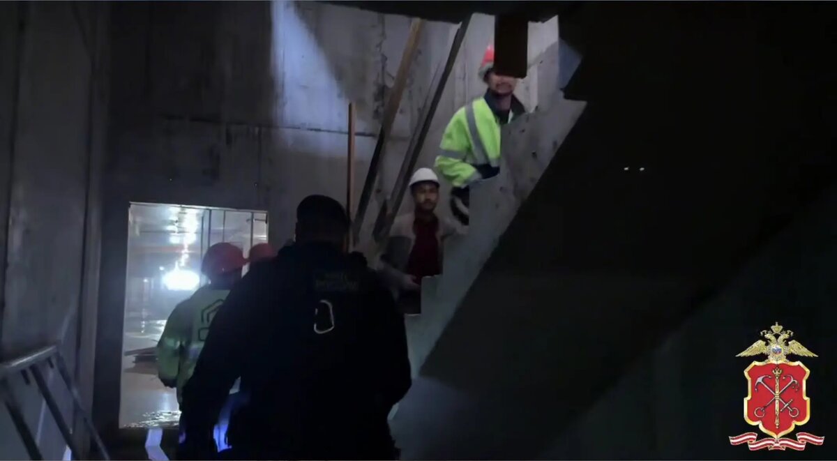    Фото: скриншот видео ГУ МВД России по Петербургу и Ленобласти