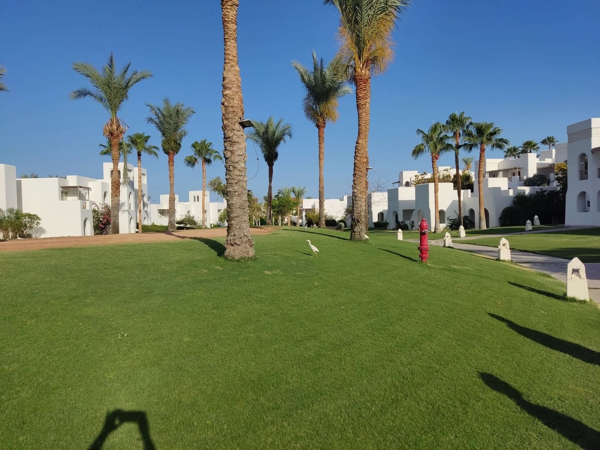 Novotel Palm