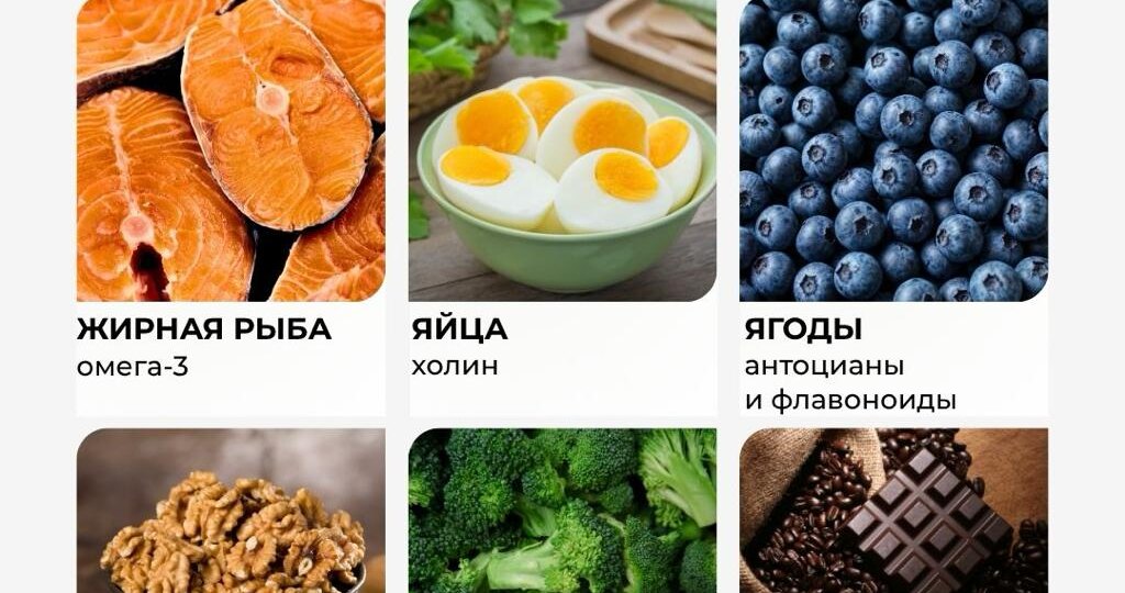 ТОП-6 продуктов для улучшения памяти