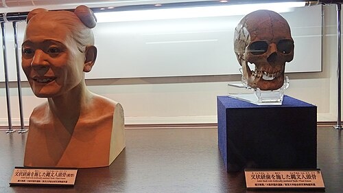 Реконструкция бюст женщины