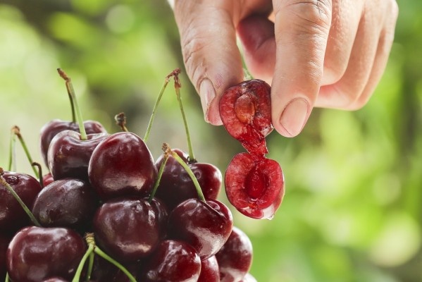 Источник фото shutterstock.com