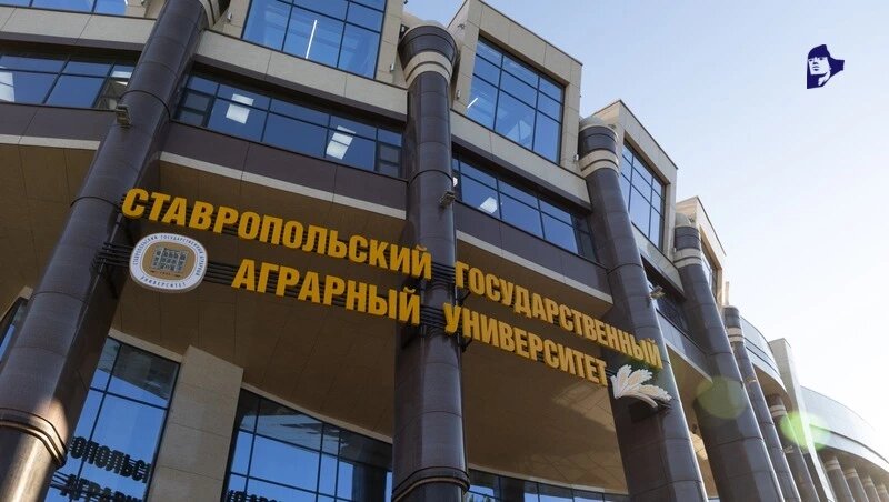      Фото: ИА «Победа26»