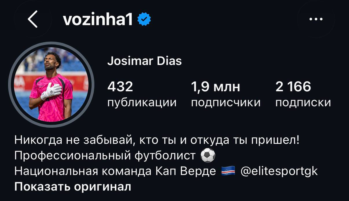 скриншот из запрещенограма Возиньи