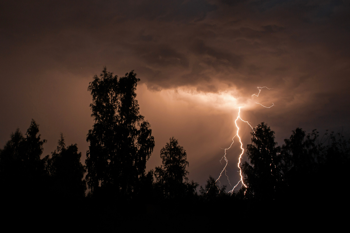 Фото: Shutterstock