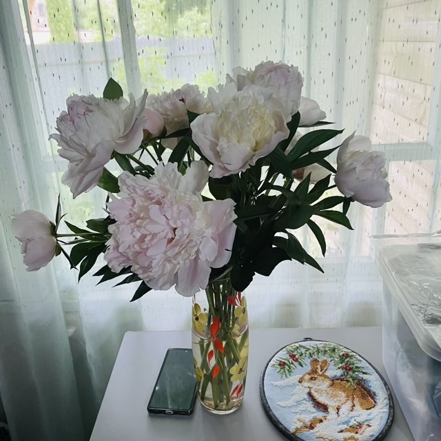 Вот такие красавчики.