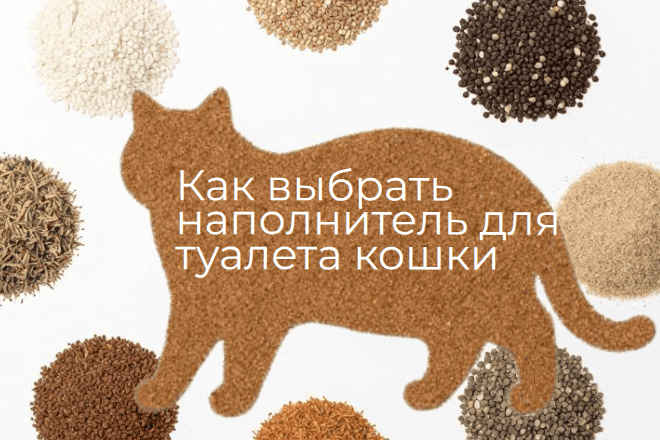 Наполнитель для кошки -какой выбрать?