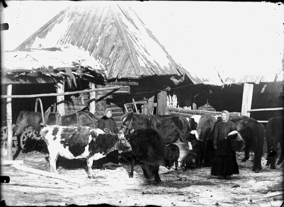    Хозяйство крестьянина-середняка. Село Метлино. 1915 г. Автор снимка Л. Сурин.   
Фото из фонда Государственного архива Свердловской области stalker