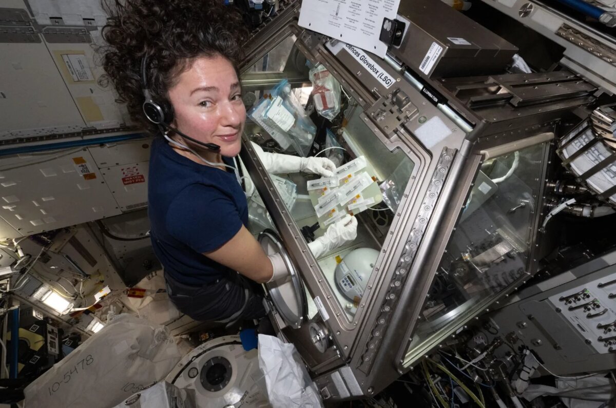Астронавт NASA Джессика Мейр готовит образцы в перчаточном боксе для биологических исследований, чтобы изучить, как невесомость влияет на свертываемость крови и иммунную функцию экипажа Источник: NASA