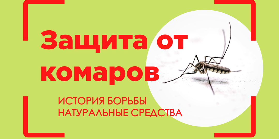 Защита от комаров - от древних благовоний до современных средств