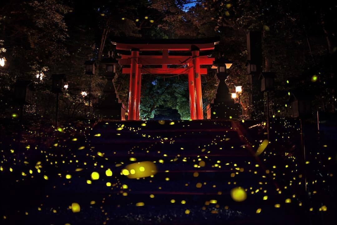 фото: https://ru.pinterest.com/pin/663436588841646356/?utm_medium=organic&utm_source=yandexsmartcamera
