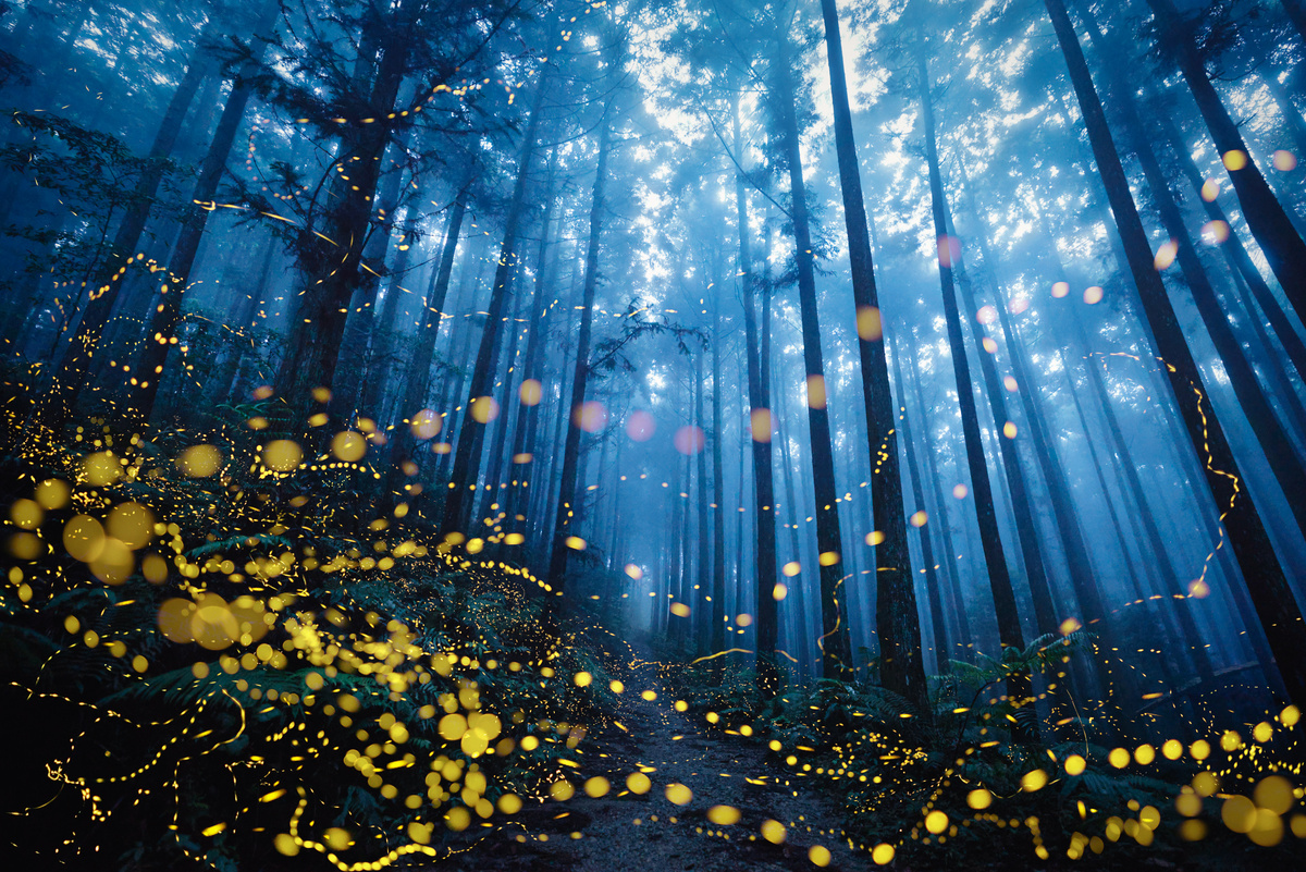 фото: https://www.photoawards.com/winner/zoom.php?eid=8-1686637674-23&utm_medium=organic&utm_source=yandexsmartcamera