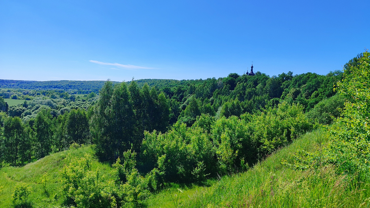 Шамордино, на горе.