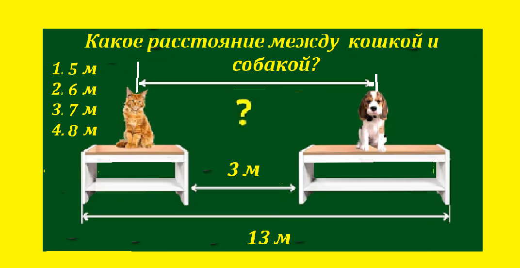 кошка и собакаТЕСТМАС.png