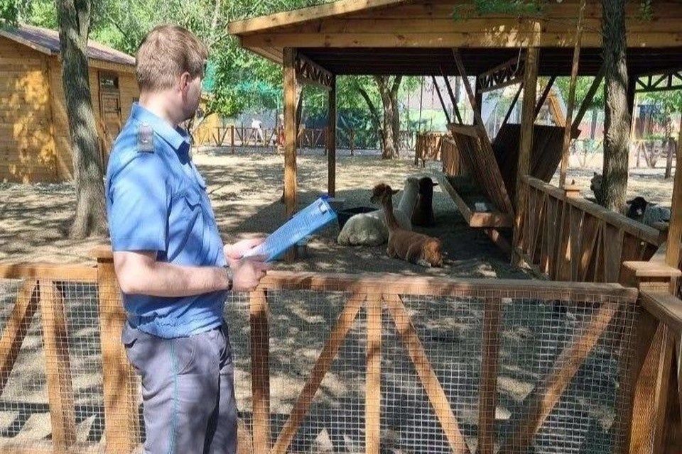    Специалисты ведомства провели выездную оценку площадки, где планируется работа зоосада. Фото: Россельхознадзор по Оренбургской области