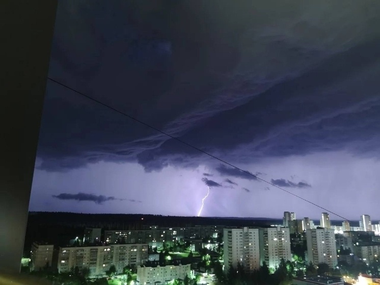     Фото: соцсети