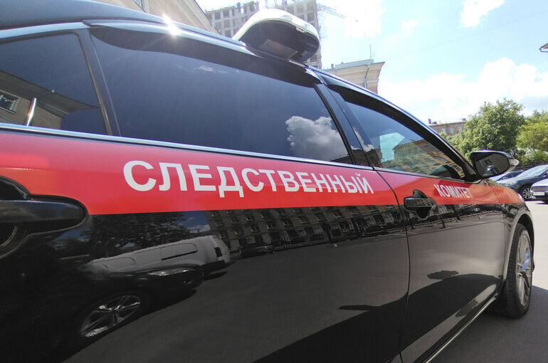   Алина Цыганова/«Парламентская газета»