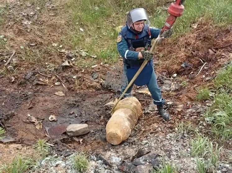     Бомба весом 250 кг. Фото: пресс-служба МЧС Ленинградской области.