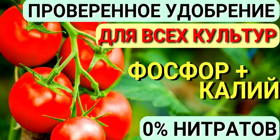 💧 «Монофосфат калия для сада и огорода в июне–июле: как применять, чтобы получить богатый урожай» 💧