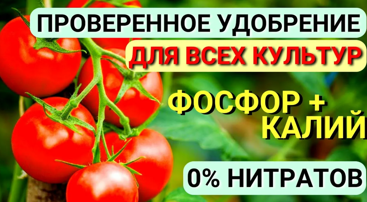 Монофосфат калия для сада и огорода в июне–июле: как применять, чтобы получить богатый урожай