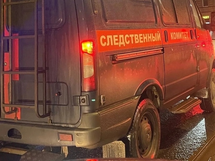     Следственный комитет взял дело под контроль. Фото: архив МК в Ленобласти.