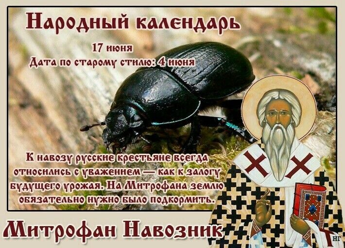 свобод.источник
