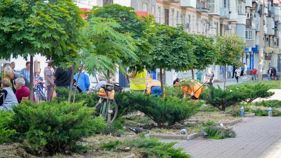 В Мелитополе приводят в порядок клумбы и газоны