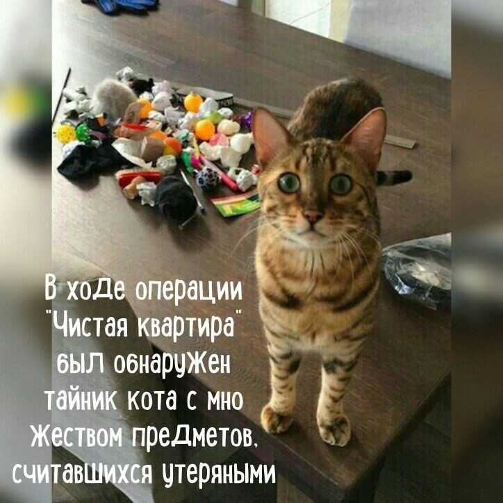 Из открытых источников