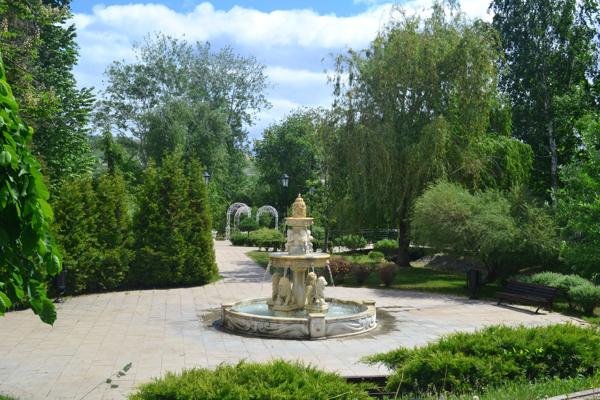Никон 3100
