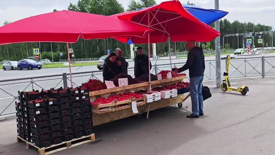    У метро в Приморском районе ликвидировали незаконные ларьки Автор фото: ККИ