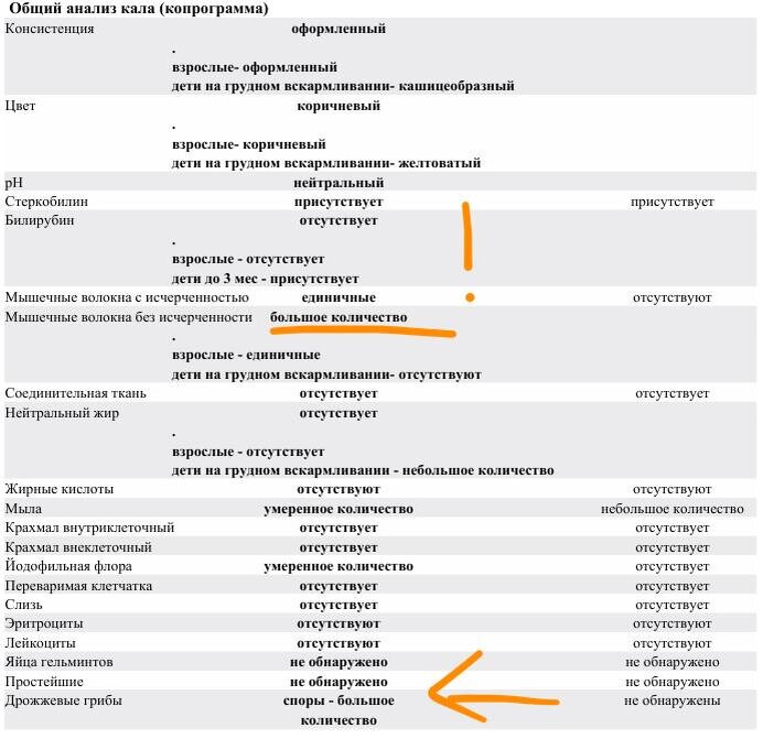 Копрограмма человека с гипохлоргидрией, сильными вздутиями и нестабильным стулом.