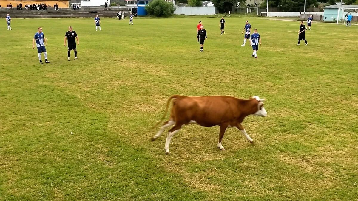     / Источник: © Кадр из видео